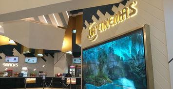 o 电影院,探索O电影院的不凡魅力